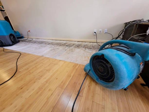 Professional Emergency Water Damage technician working in Saint Charles, MI